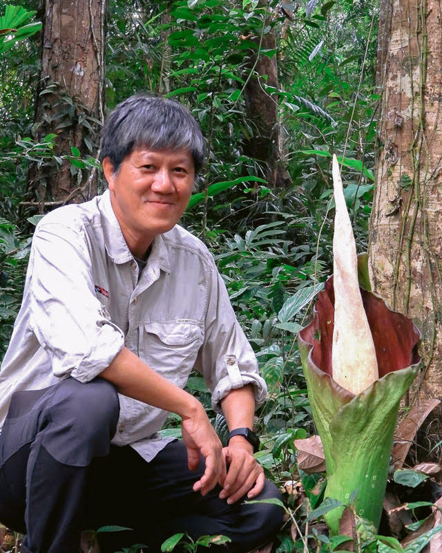 Darmawan Liswanto