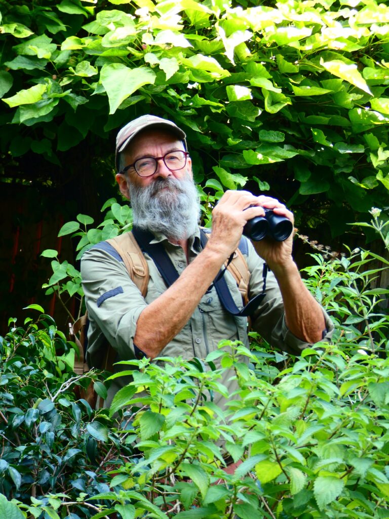 Bas van Balen